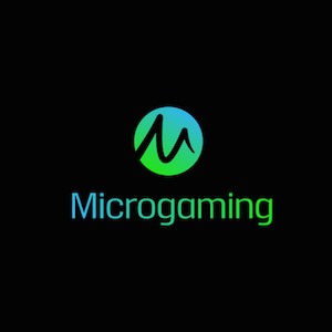Microgaming stellt neuen Bingo-Geschäftsführer ein